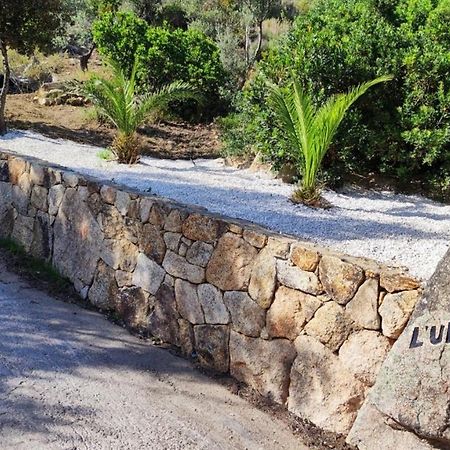 Casa L'Ulivariu Affittacamere ซาน เตโอโดโร ภายนอก รูปภาพ