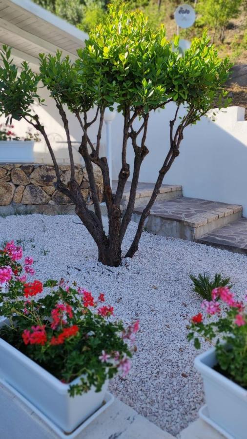 Casa L'Ulivariu Affittacamere ซาน เตโอโดโร ภายนอก รูปภาพ