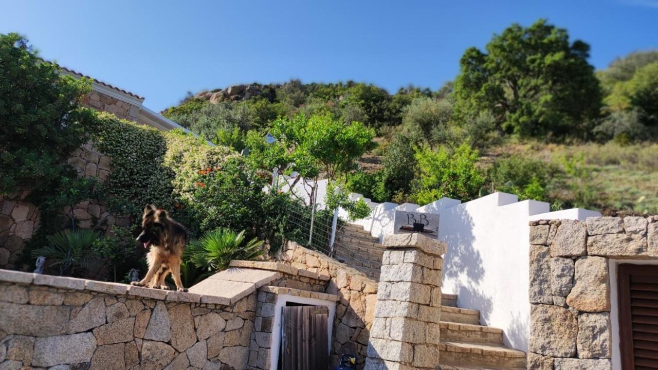 Casa L'Ulivariu Affittacamere ซาน เตโอโดโร ภายนอก รูปภาพ