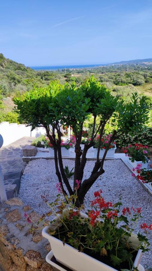 Casa L'Ulivariu Affittacamere ซาน เตโอโดโร ภายนอก รูปภาพ