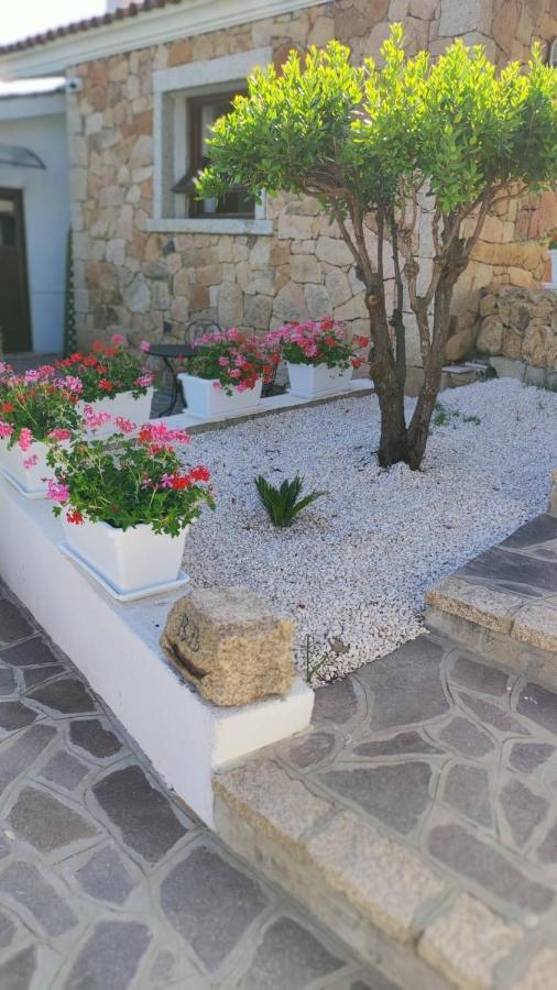 Casa L'Ulivariu Affittacamere ซาน เตโอโดโร ภายนอก รูปภาพ