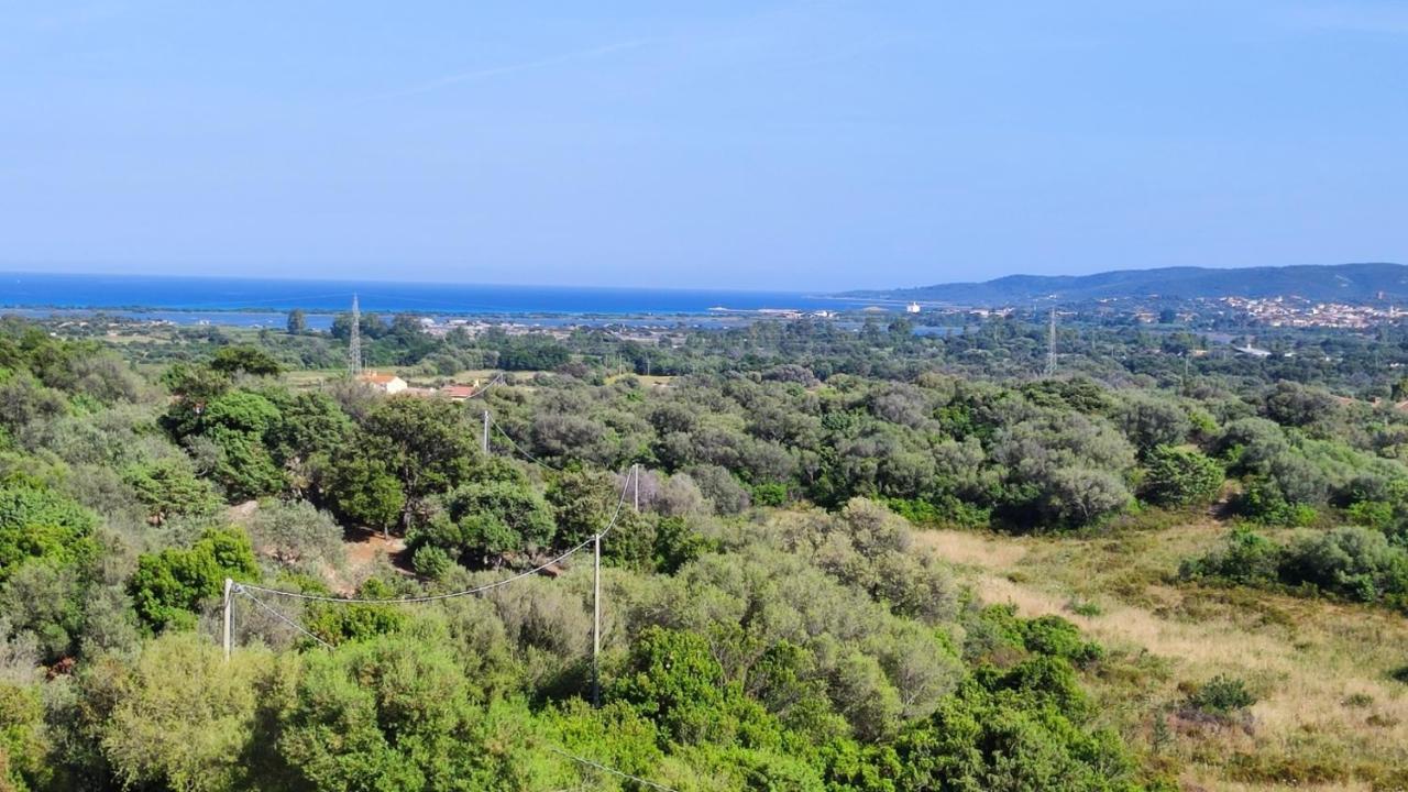 Casa L'Ulivariu Affittacamere ซาน เตโอโดโร ภายนอก รูปภาพ