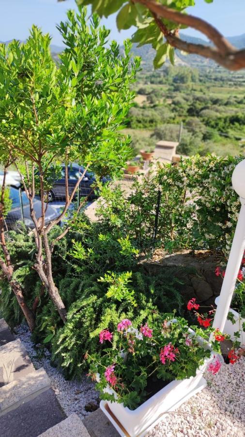 Casa L'Ulivariu Affittacamere ซาน เตโอโดโร ภายนอก รูปภาพ