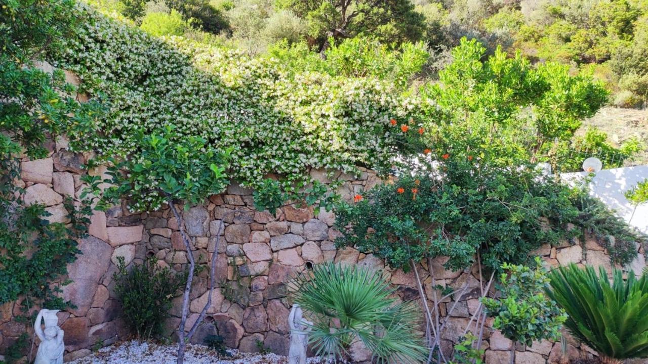 Casa L'Ulivariu Affittacamere ซาน เตโอโดโร ภายนอก รูปภาพ