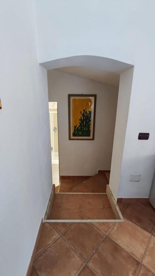 Casa L'Ulivariu Affittacamere ซาน เตโอโดโร ภายนอก รูปภาพ
