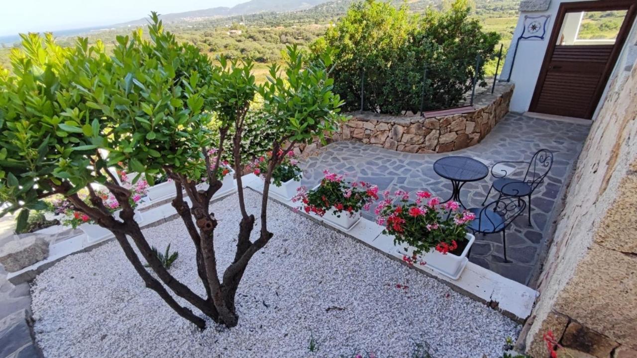Casa L'Ulivariu Affittacamere ซาน เตโอโดโร ภายนอก รูปภาพ