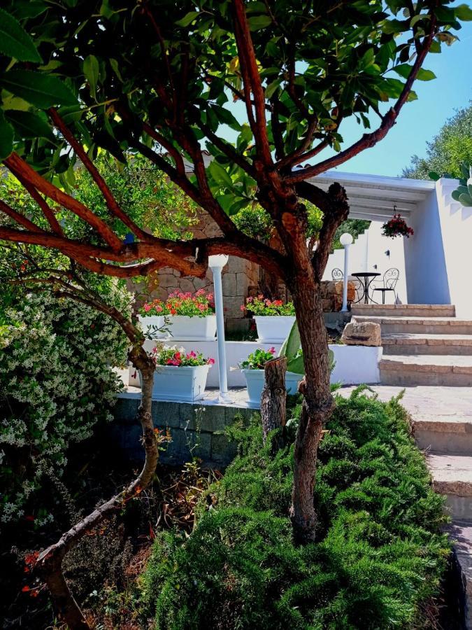 Casa L'Ulivariu Affittacamere ซาน เตโอโดโร ภายนอก รูปภาพ
