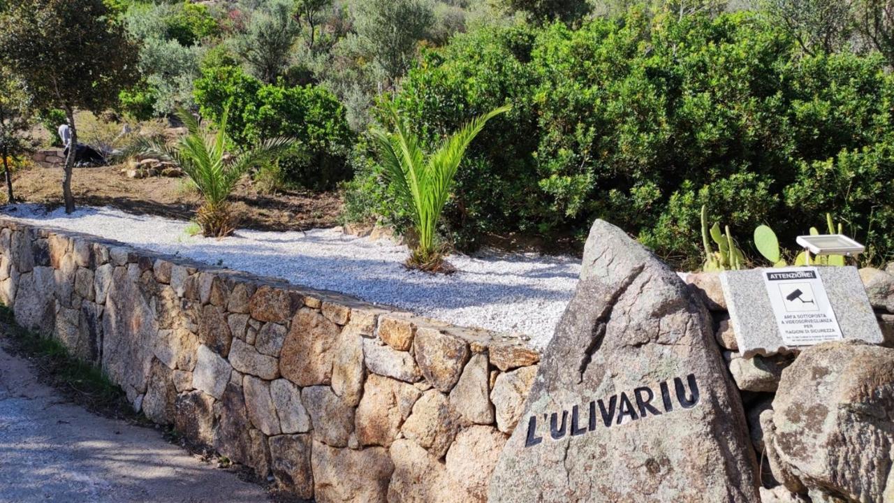 Casa L'Ulivariu Affittacamere ซาน เตโอโดโร ภายนอก รูปภาพ