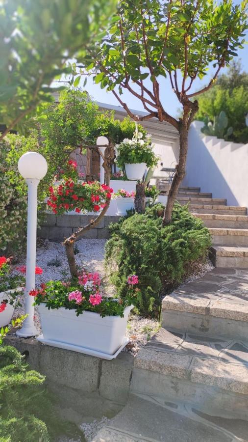 Casa L'Ulivariu Affittacamere ซาน เตโอโดโร ภายนอก รูปภาพ